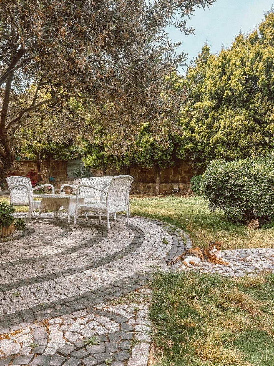 Eden Selene Hotel Ayvalı Exterior foto